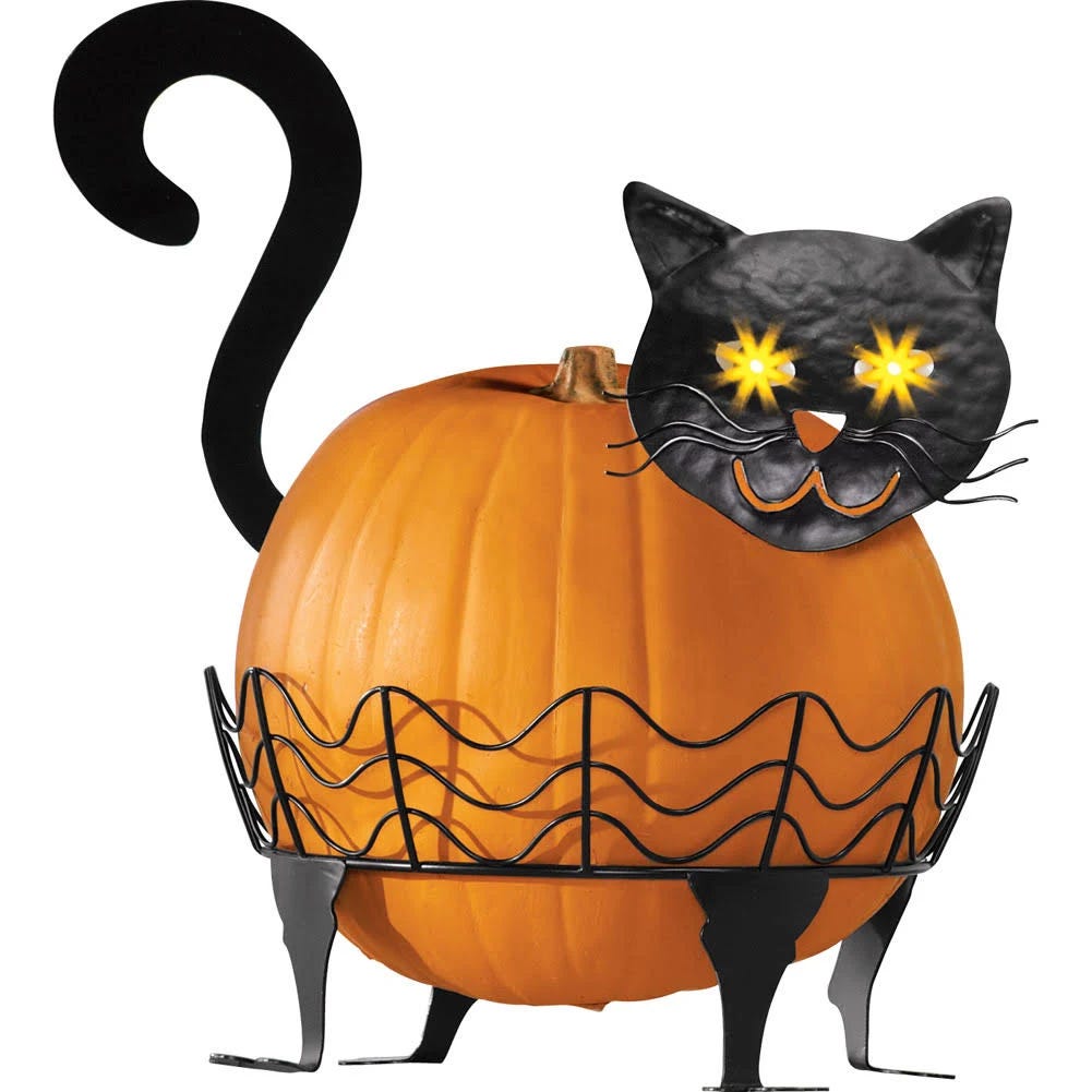 Eye-Catching Black Cat Pumpkin Holder | Image