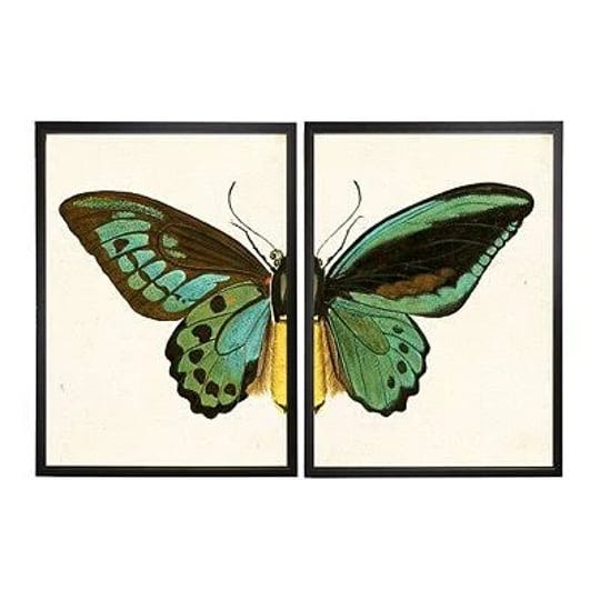 butterfly-framed-art-prints-set-of-2-green-brown-medium-copper-kirklands-home-1