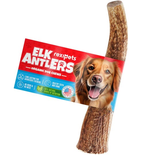 rexipets-elk-antlers-for-small-dogs-grade-a-long-lasting-chew-for-aggressive-chewers-elk-antlers-dog-1