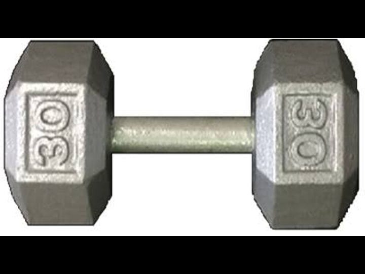 york-cast-iron-hex-dumbbell-45-lbs-1