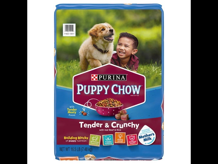 puppy-chow-puppy-food-tender-crunchy-with-real-beef-rice-16-5-lb-1