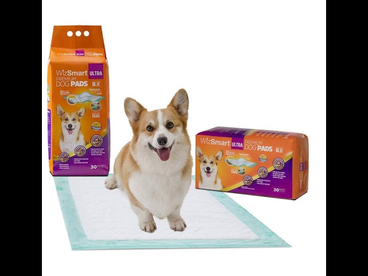 wizsmart-ultra-all-day-dry-premium-dog-pads-30-count-1
