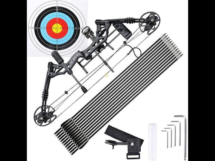 archery-hunting-compound-bow-kit-20-to-70lbs-right-hand-with-12pcs-carbon-arrows-320-fps-black-1