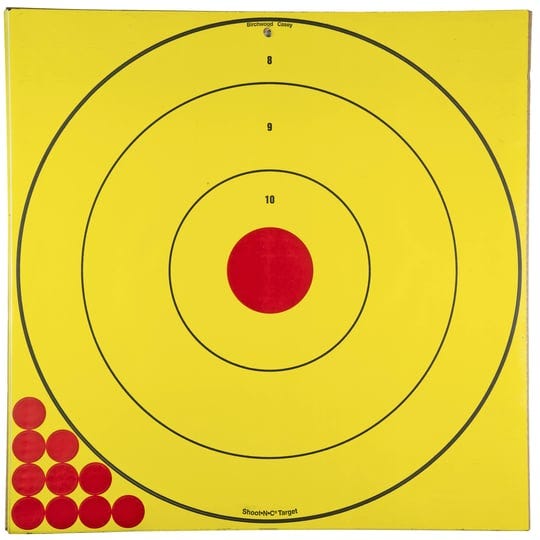 birchwood-casey-long-range-bullseye-target-1