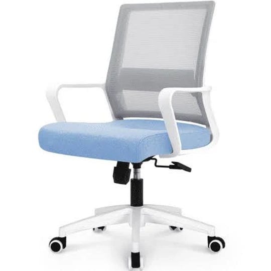 hygge-ergonomic-lumbar-support-mid-back-adjustable-mesh-home-office-computer-desk-chair-sky-blue-1