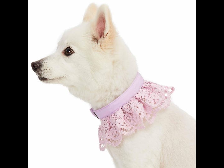 blueberry-pet-floral-lace-dog-collar-purple-medium-1
