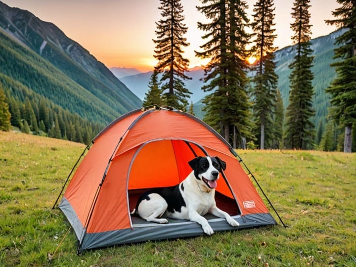 Coleman-Dog-Tent-3