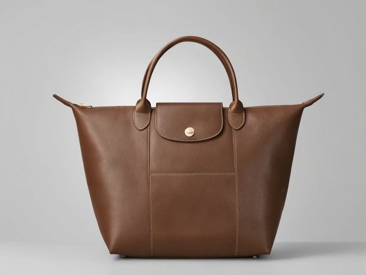 Longchamp-Tote-Bag-4