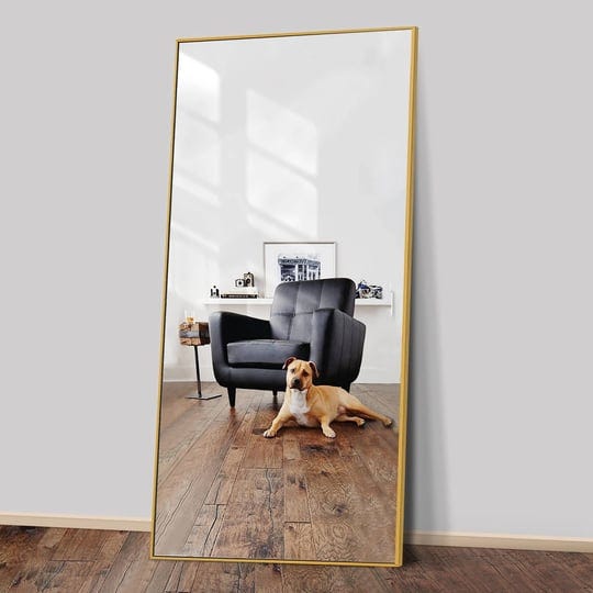 glam-gold-metal-full-length-floor-mirror-freestanding-dressing-mirror-71-inchx24-inch-size-71x24-ant-1