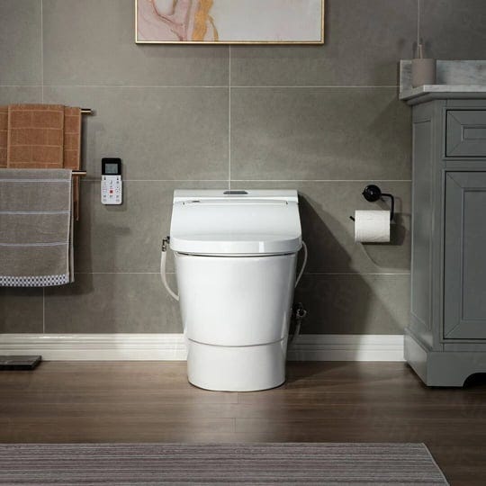 woodbridge-revel-one-piece-1-1gpf-1-6-gpf-dual-flush-elongated-toilet-with-advance-smart-bidet-toile-1