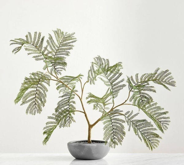 faux-potted-grey-fern-24-pottery-barn-1
