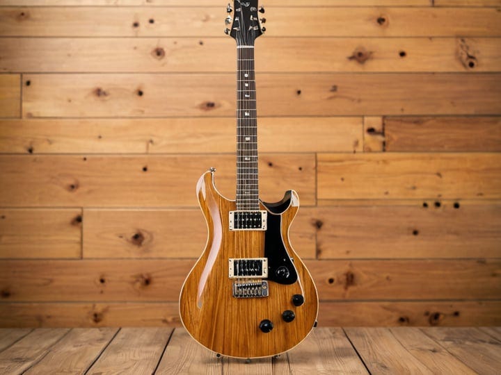 Prs-Se-Standard-24-5