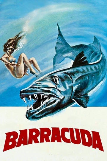 barracuda-4373822-1