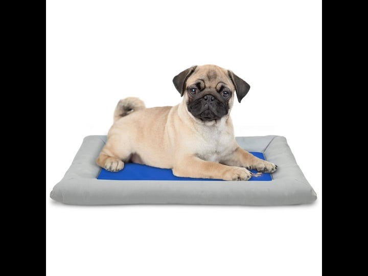 arf-pets-dog-self-cooling-bed-pet-bed-solid-gel-based-self-cooling-m-1