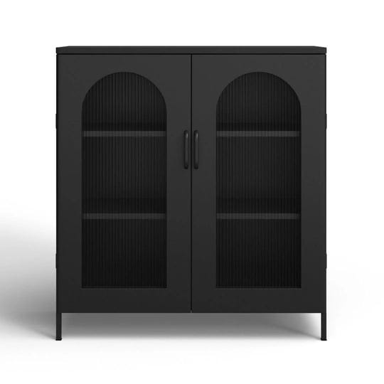 fiero-metal-cabinet-with-2-arched-glass-doors-birch-lane-color-black-1