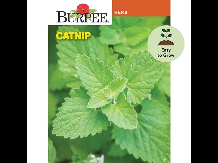 burpee-herb-catnip-seed-1