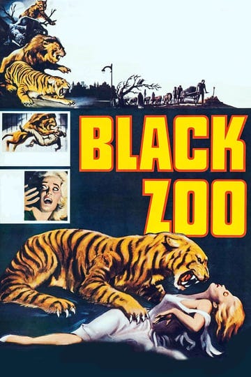 black-zoo-1526299-1