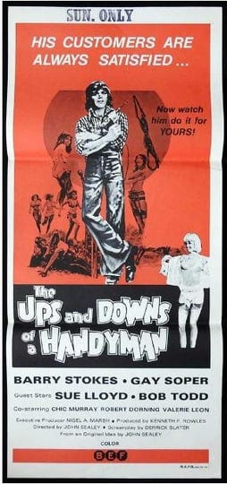 the-ups-and-downs-of-a-handyman-4312821-1