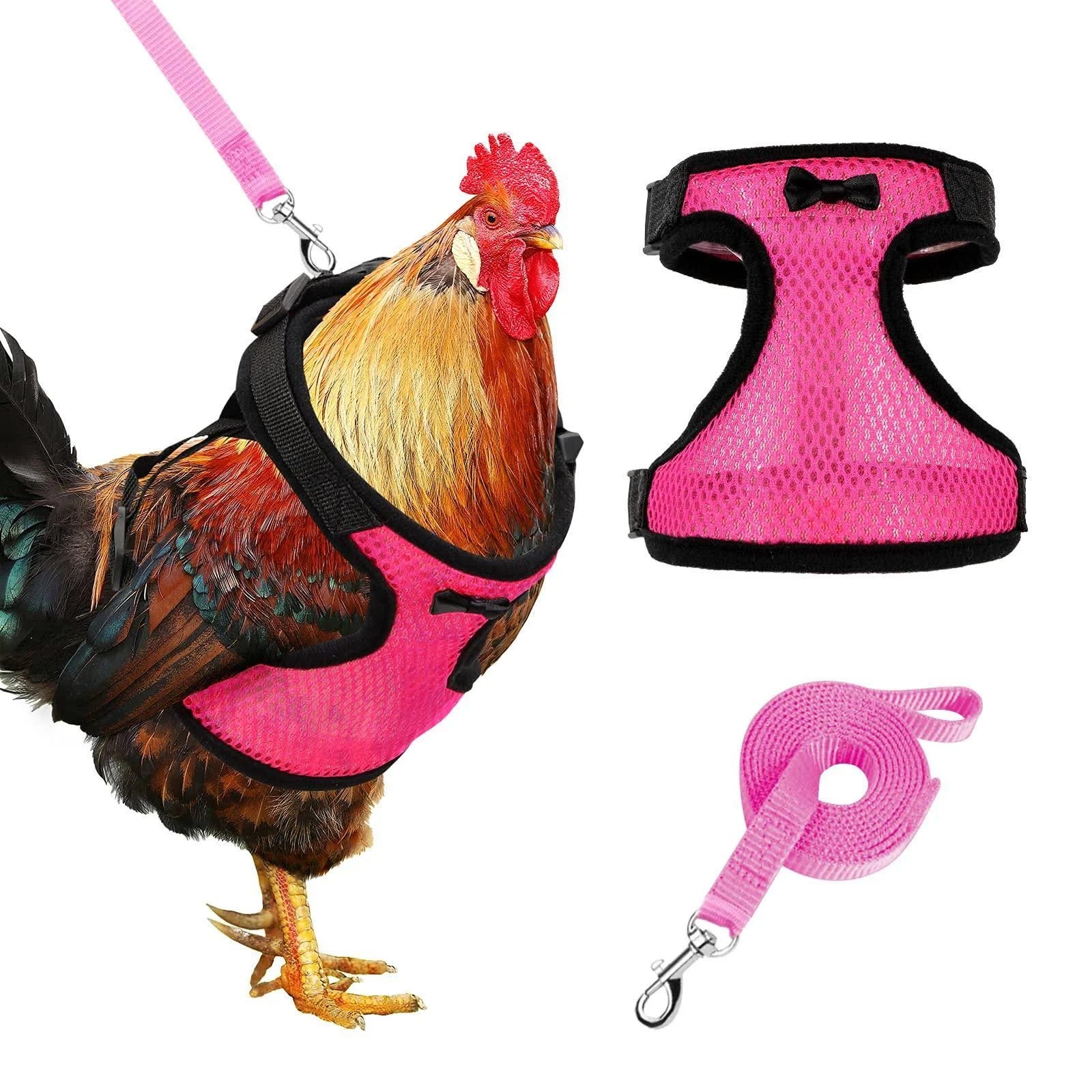Adjustable Double Chicken Harness with Leash | Image