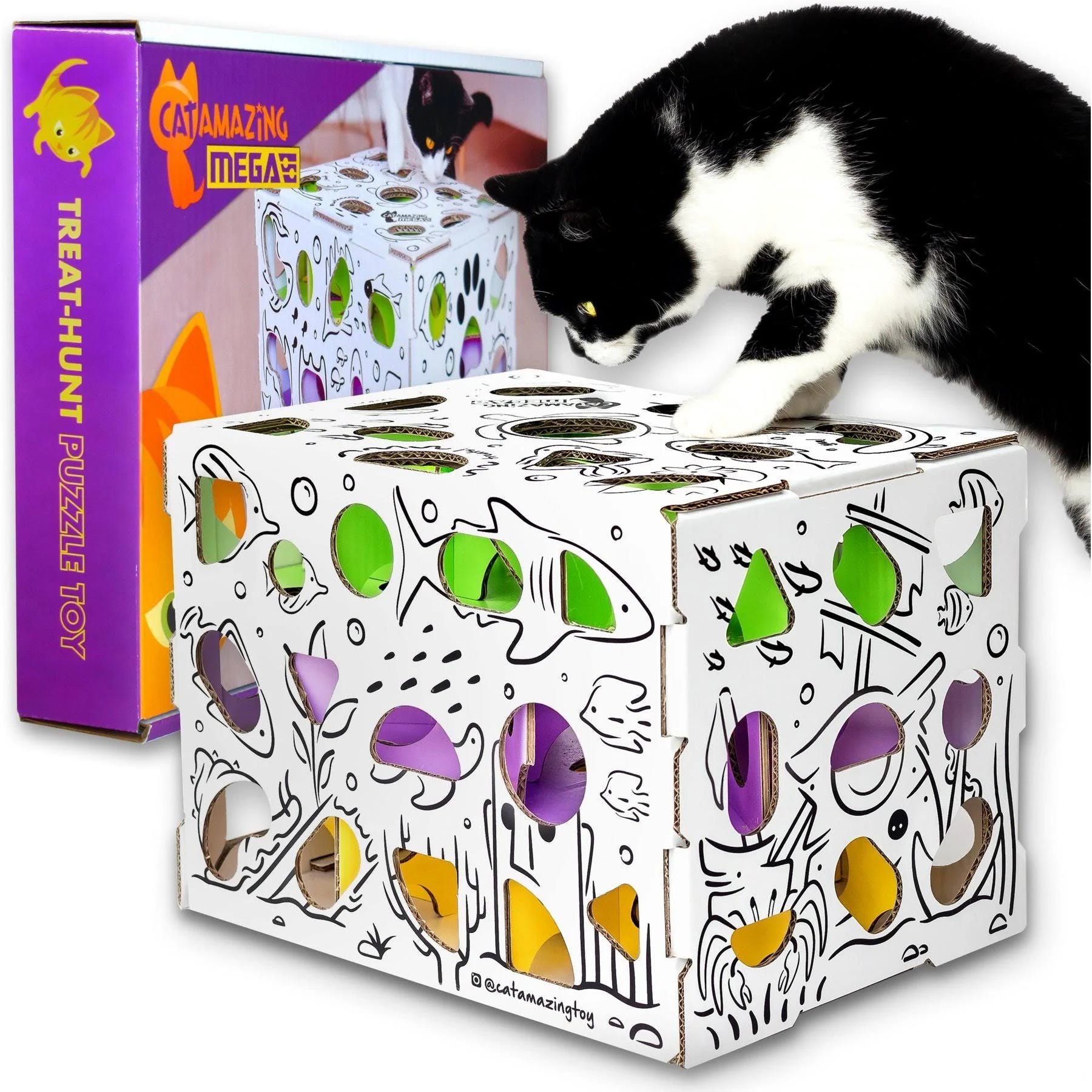 Challenging Interactive Cat Treat Puzzle Box | Image