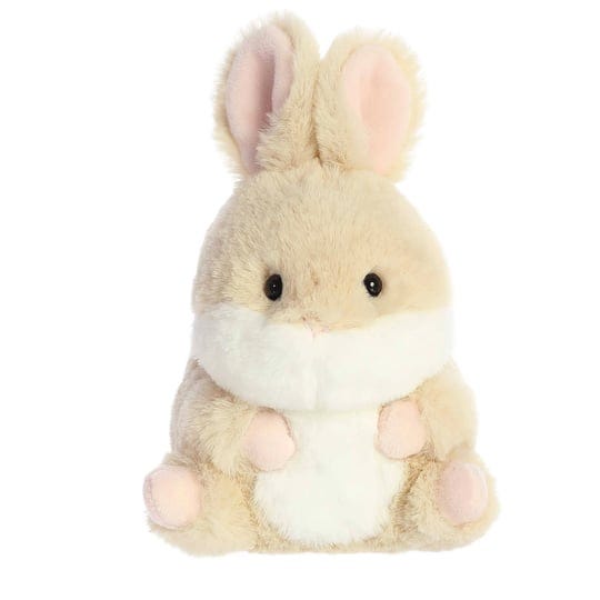 aurora-rolly-pet-5-lively-bunny-1