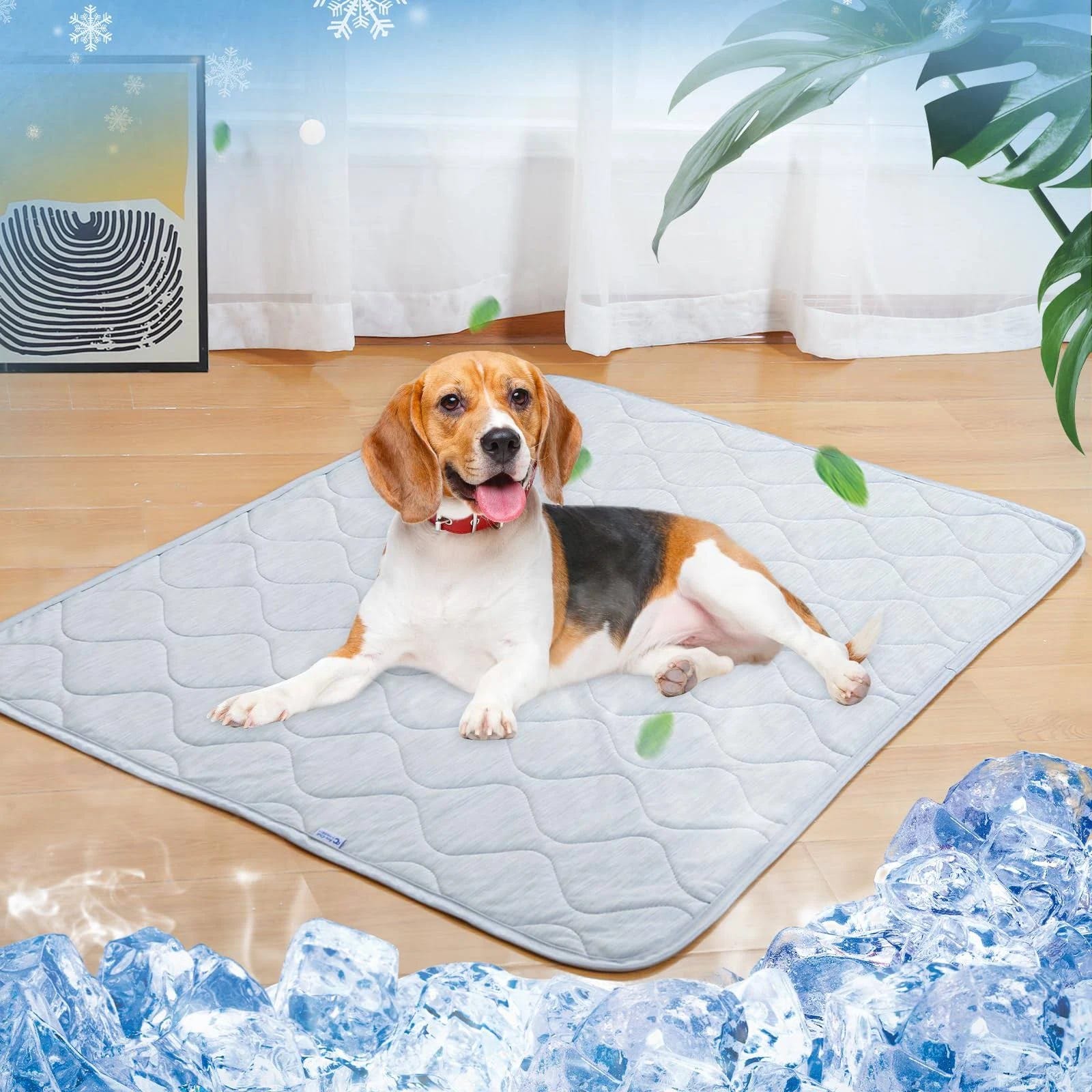 Rywell Dog Cooling Blanket: Keep Your Pet Comfortable in All Seasons | Image