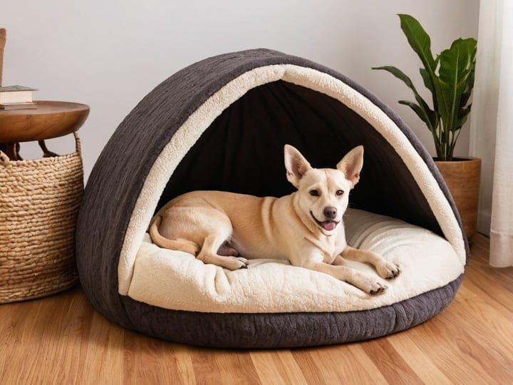 Dog-Cave-6