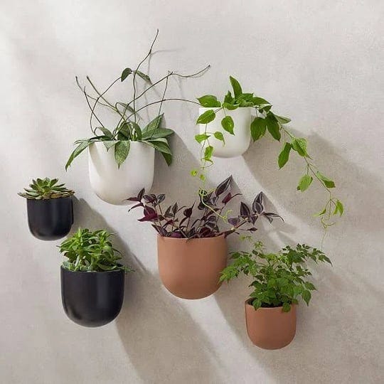 ceramic-indoor-outdoor-wallscape-planter-small-4-3d-x-4-3h-white-west-elm-1