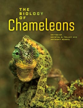 the-biology-of-chameleons-1647997-1