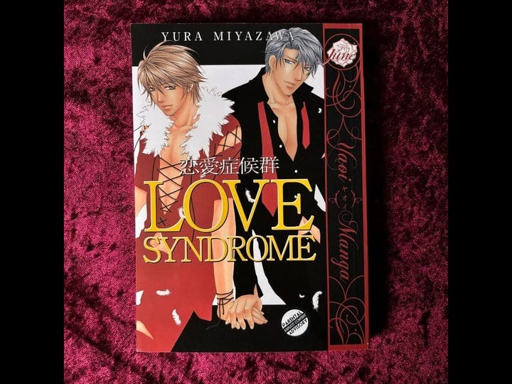 love-syndrome-yaoi-book-1