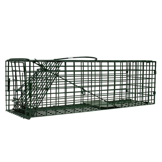 duke-company-heavy-duty-live-animal-cage-trap-green-1