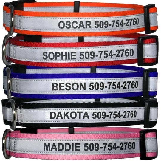 gotags-personalized-reflective-dog-collars-custom-engraved-with-name-and-phone-number-adjustable-dog-1