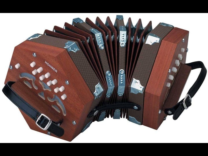 hohner-d40-concertina-accordion-1