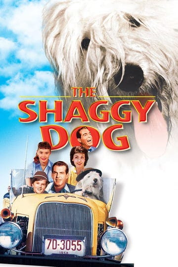 the-shaggy-dog-756857-1