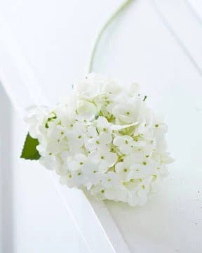 Real Touch Hydrangea Stem: Stunning Artificial 29