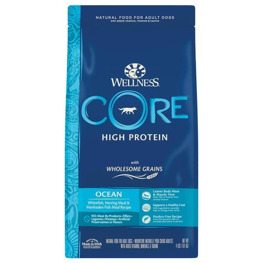 wellness-core-wholesome-grains-ocean-recipe-dry-dog-food-4-pounds-1