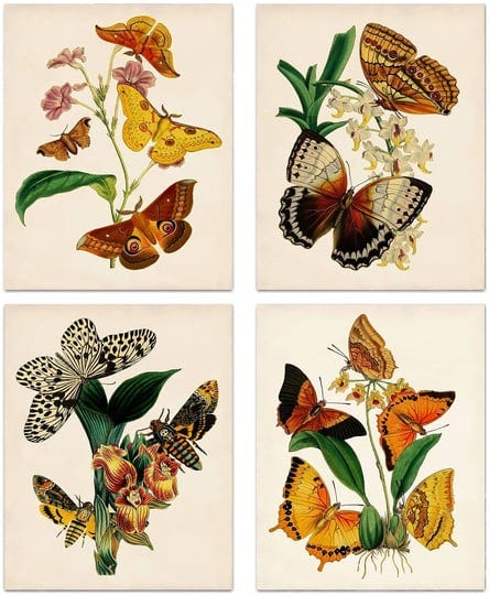 mooxo-retro-botanical-butterfly-wall-art-prints-vintage-butterfly-canvas-wall-artbutterfly-floral-na-1