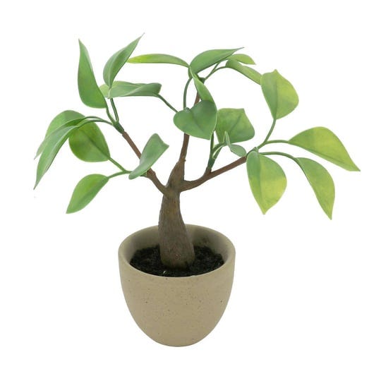 6-ficus-tree-in-brown-pot-by-ashland-michaels-1