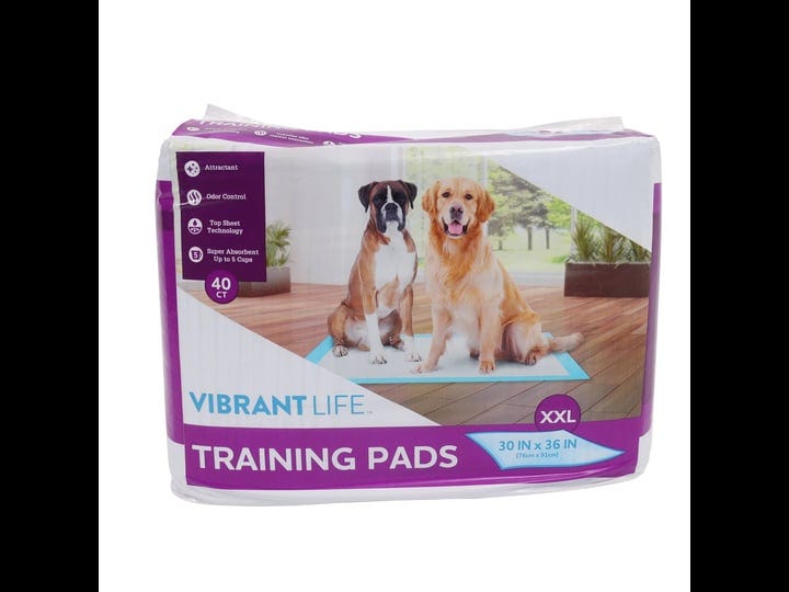 pet-all-star-xxl-training-pads-30-in-x-36-in-40-count-1