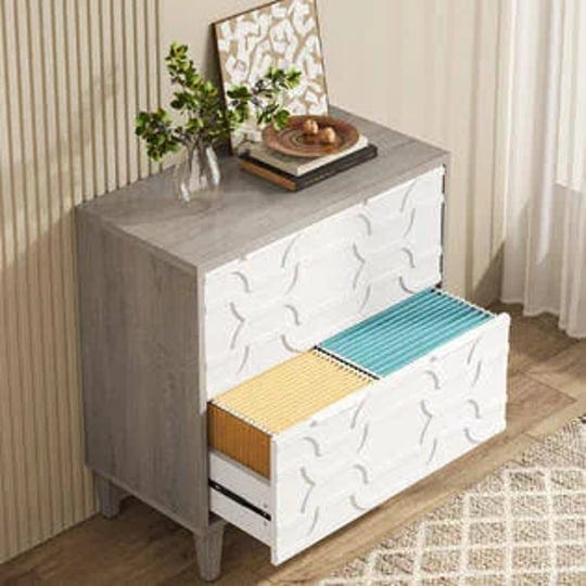 tribesigns-2-drawer-file-cabinet-lateral-filing-cabinet-for-a4-letter-legal-size-office-storage-cabi-1