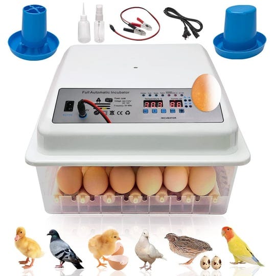 9th-shop-chicken-incubators-for-hatching-eggs-egg-incubator-with-automatic-egg-turning-and-humidity--1