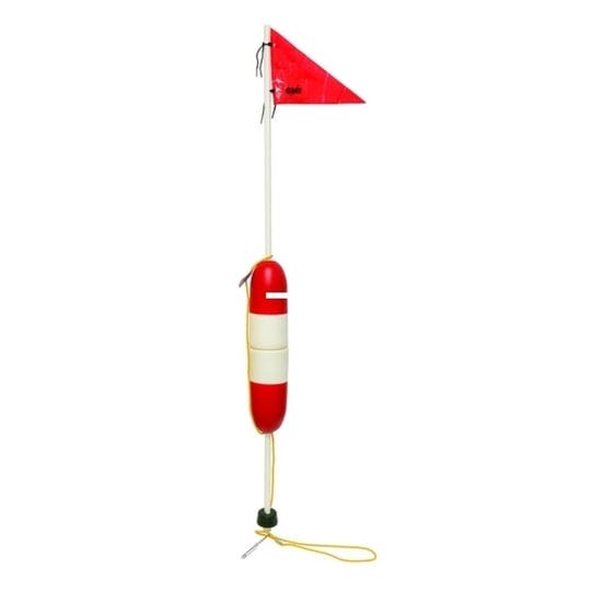 smi-buoy-stick-1