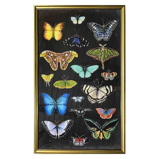 glass-framed-butterfly-print-wall-art-black-sold-by-at-home-1