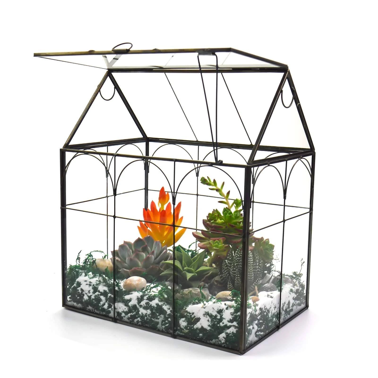 Large Tall Plant Greenhouse Terrarium with Lid | Image