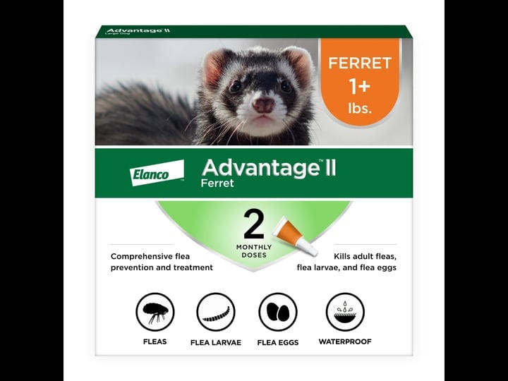 advantage-ii-flea-treatment-for-ferrets-1