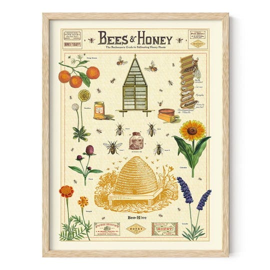 haus-and-hues-honey-bee-decor-cavallini-poster-bee-wall-decor-vintage-posters-for-room-aesthetic-pri-1