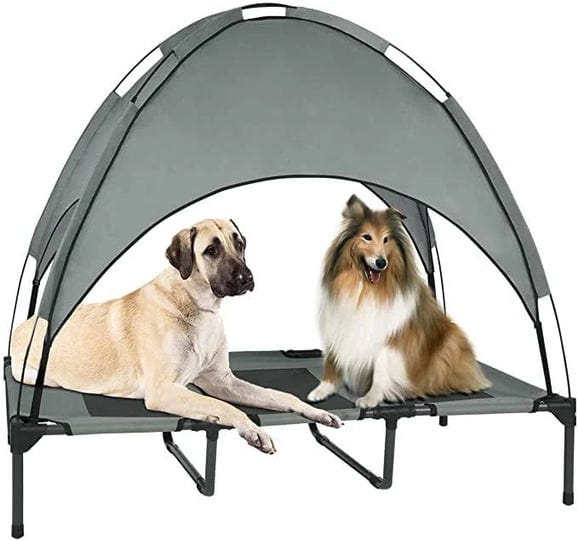 outdoor-elevated-dog-bed-with-removable-canopy-1