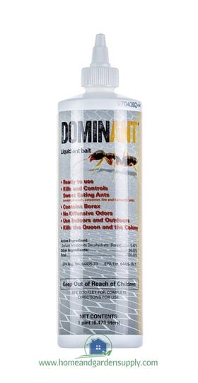 dominant-liquid-ant-bait-16-oz-bottle-1