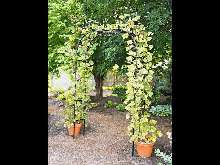 titan-arch-arches-arbors-gardeners-supply-company-1