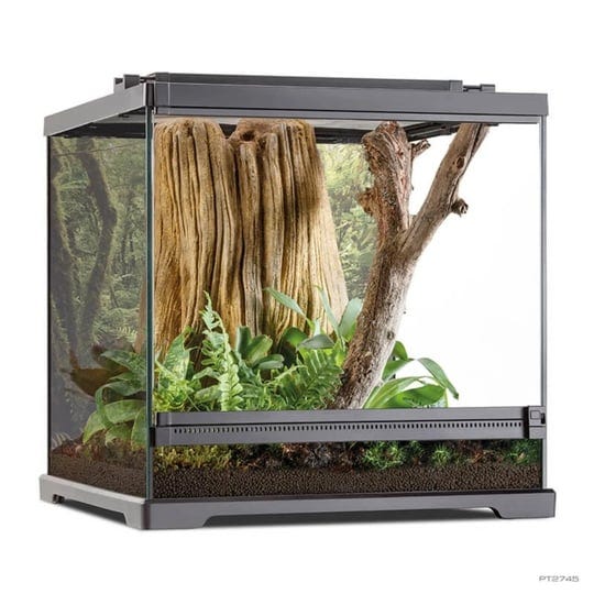 exo-terra-dart-frog-terrarium-1